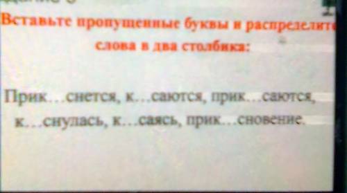 Вставьте пропущенные буквы и распределите слова в два столбика​