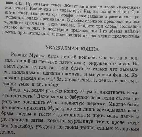 Ражая Муська была ничьей кошкой.