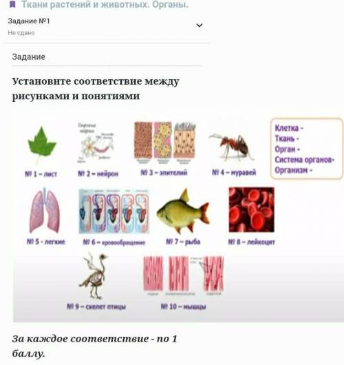 мин осталось по Казахстану 