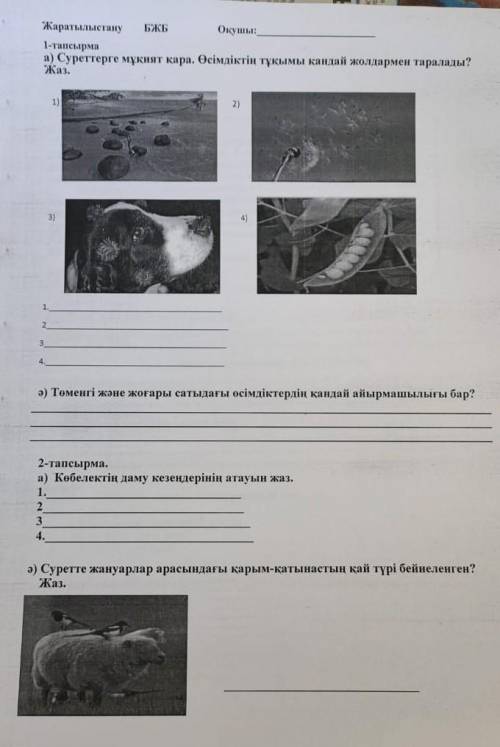 молю вас но вы даже не помежете правда ну здесь есть картинка БЖБ молю 