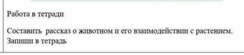 третий класс, естесвознание 