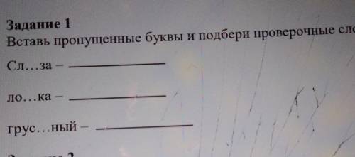 Вставь пропушеные буквы и подбери проверочные слова​