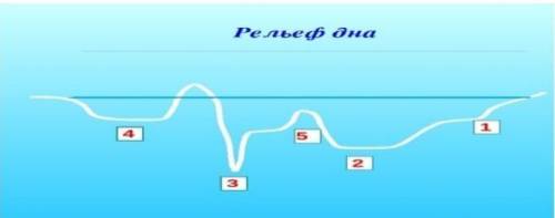 Задание 4. Укажите части рельефа дна океана