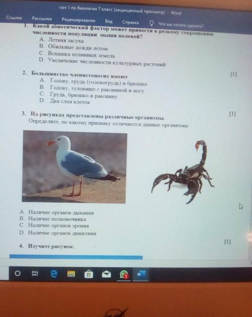 Соч по биологии 7 класс 1 ,чет
