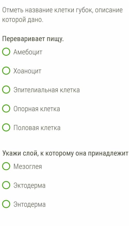 Отметьте название клеток губок, описание которой дано​