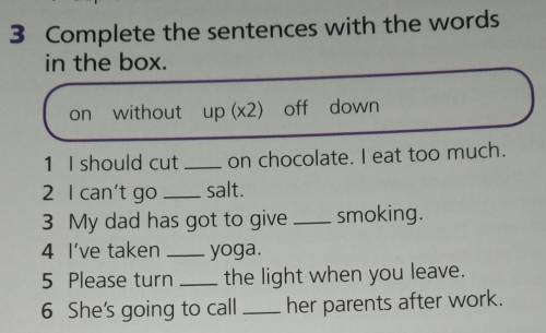 Complete the sentences with the words in the box. 