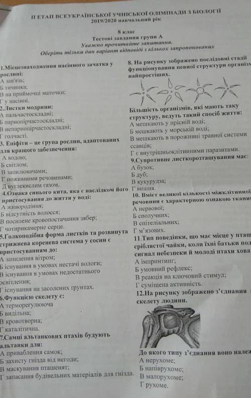 РЕШИТЬ ОЛИМПИАДУ С БИОЛОГИИ