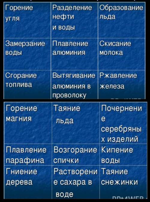 Задание для учащихся / Student assignment – Из предложенных примеров выпишите в два столбика таблицы