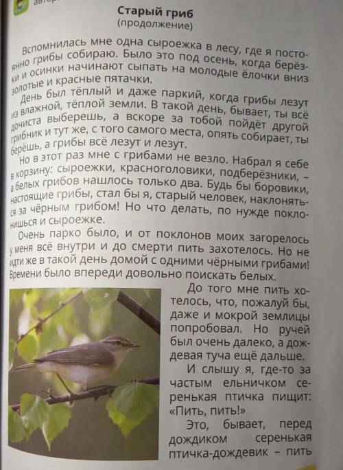 Укажи особенности рассказа