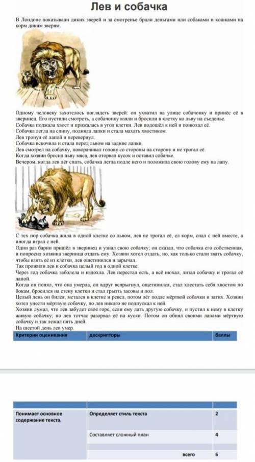 РУСКИЙ ЯЗЫК Надо сотавить сложный план