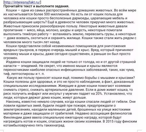 Опишите, чем полезны кошки для человека.​