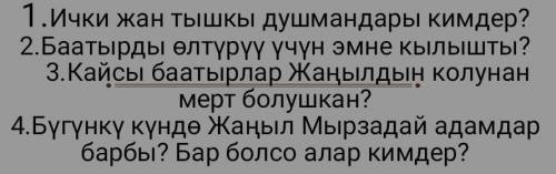 ответьте на эти вопросы, повесть Жаныл Мырза. ​