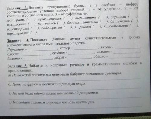 решить олимпиаду 5 класс (лёгкая, но так лень...) 