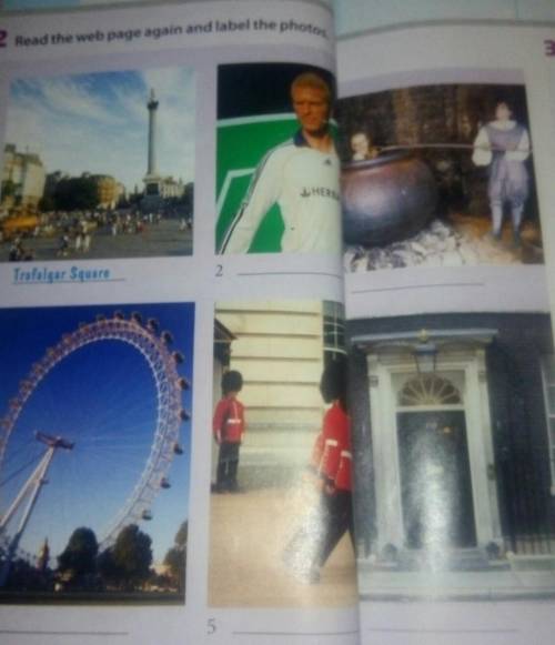 2 Read the web page again and label the photos