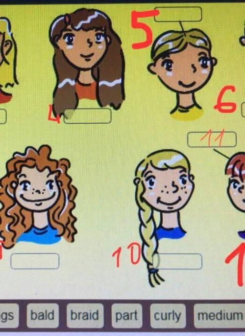Match the words and pictures in the box мысалы 1 bland