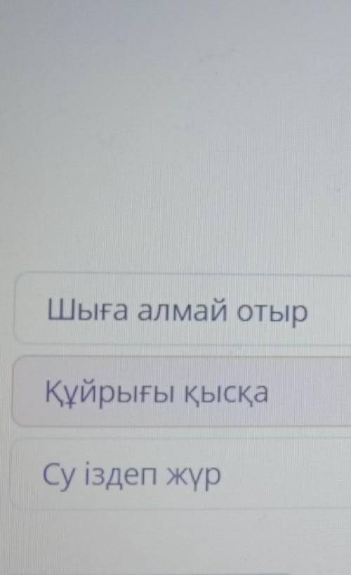 Суретке сәйкес нүсианы беnrine,