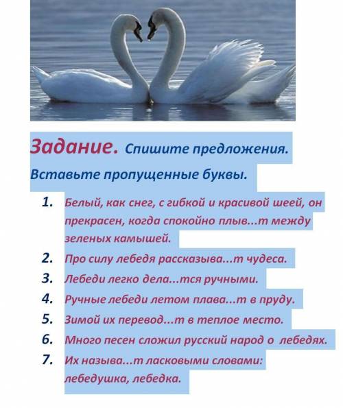 Задание. Спишите предложения. Вставьте пропущенные буквы. 1. Белый, как снег, с гибкой и красивой ше