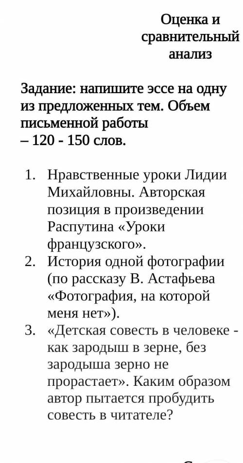 Соч по руской литературе эссе 8 класс