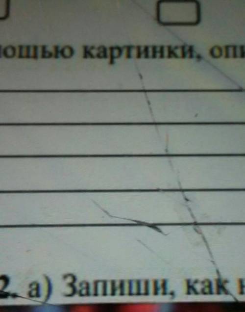 С картинки описи этапы развития фасоли 1 2 3 4 5