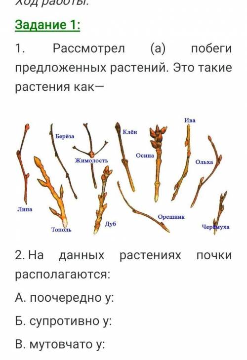 ЗАДАНИЕ НА КАРТИНКЕ ОНИ ОБА СВЯЗАНЫ please guys please 