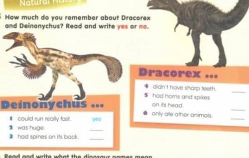 How much do you remember about dracorex and deinonychus?read and write yes or no
