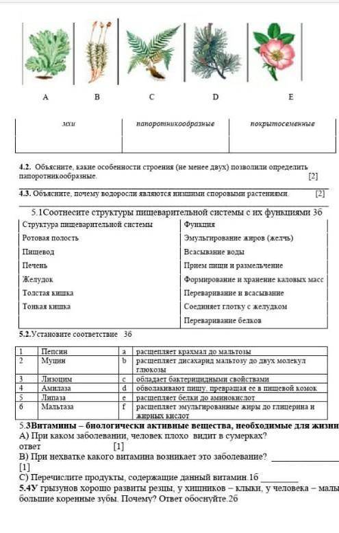 если не сложно!у меня соч по биологии