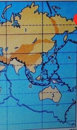 Определи по карте литосферу плиту под номером 4​
