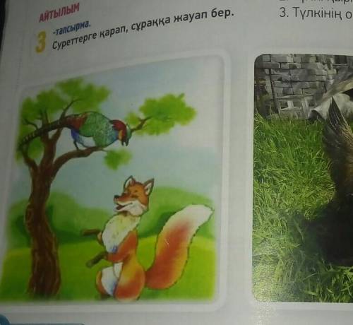 Суреттерге қарап, сұраққа жауап бер. 