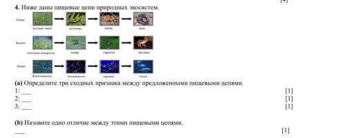4. Ниже даны пищевые цепи природных экосистем. (а) Определите три сходных признака между предложенны