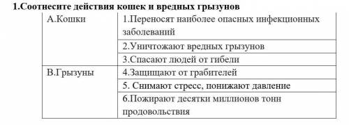 ДЕЙСТВИЯ КОШЕК И ВРЕДНЫХ ГРЫЗУНОВ​