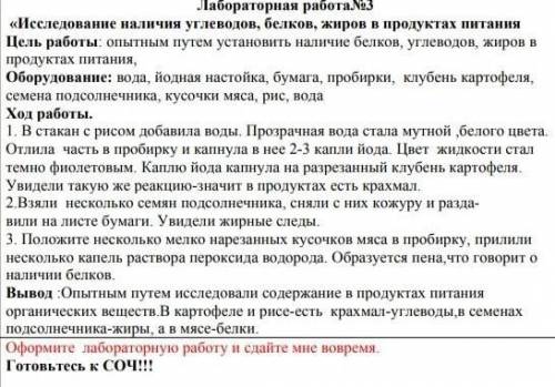 Оформите лаболаторную работу 