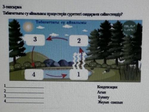 Табигатылы су айналымы процестерін суреттегі салдарына сәйкестендір? көмек керек​