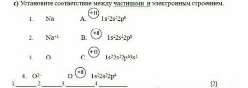 Укажитите сответствие между частицами и электронным строением.