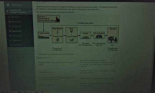 ОЧЕНЬ ОЧЕНЬ СОЧ ПО БИОЛОГИИ