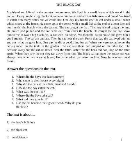 Answer the questions on the text 1)Where did the boys live last summer?