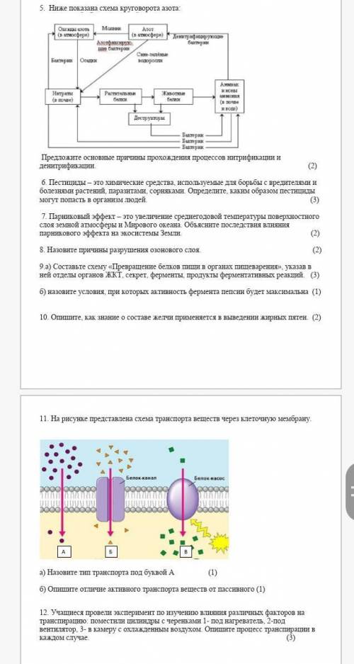 Кто не знает, не отвечайте