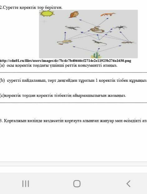 Тапсырманың жауабы қалай? 