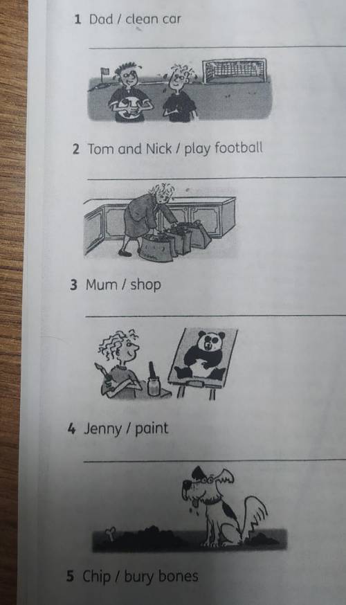 Write sentences . Use the present perfect continuous.