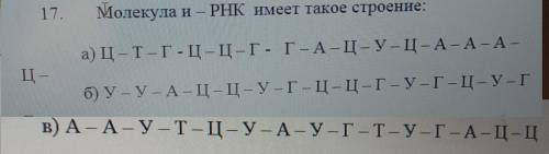 те с биологией Нуклеиновые кислоты, жиры и белки