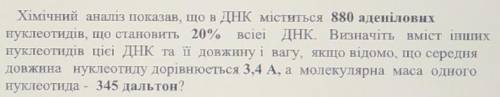 решить отдаю последние поинты