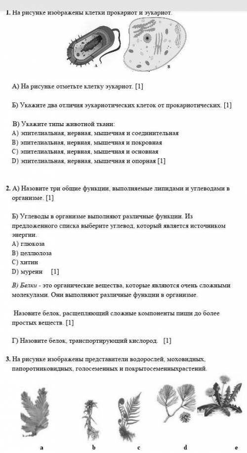 Умоляю соч по билогии ответье нормально