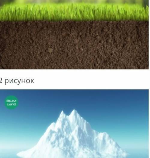 Рисунку Определи область исследования
