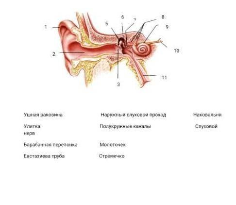 Сделайте нужны названия а чифрам