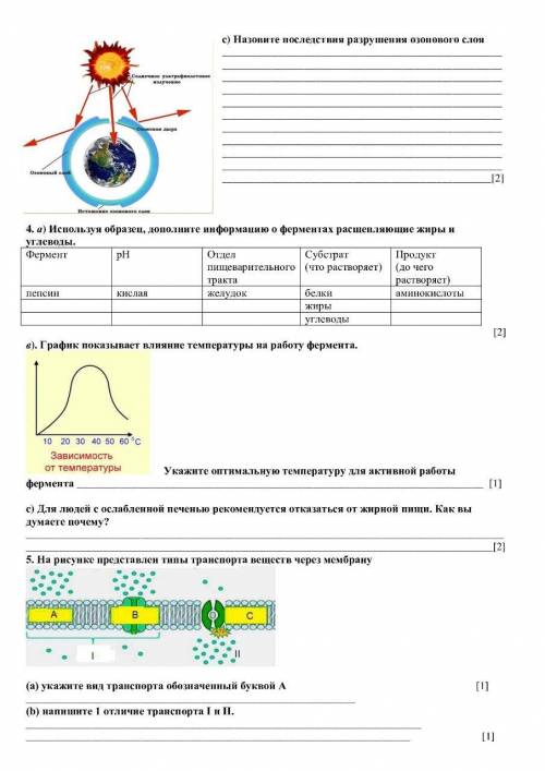 СОЧ по биологии. Кто не знвет как делать не пишите!