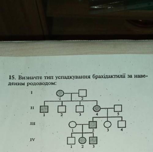 Определите тип наследования брахидактилия по при- деним родословной:
