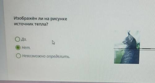 Изображён ли на рисункеИсточник тепла?да.Hem.невозможно определить.