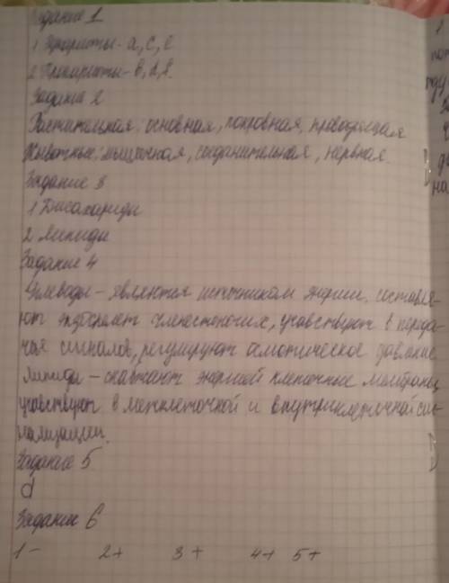 Соч по биологии 1 четвердь 8 класс