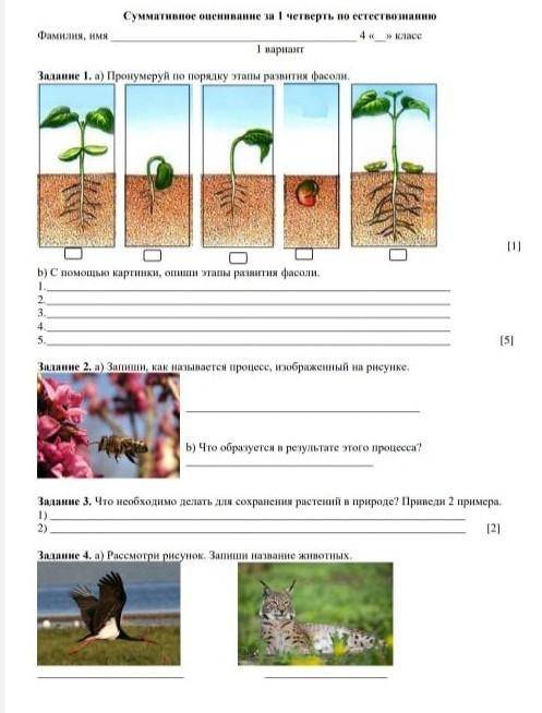 соч 4 класс естествознания 