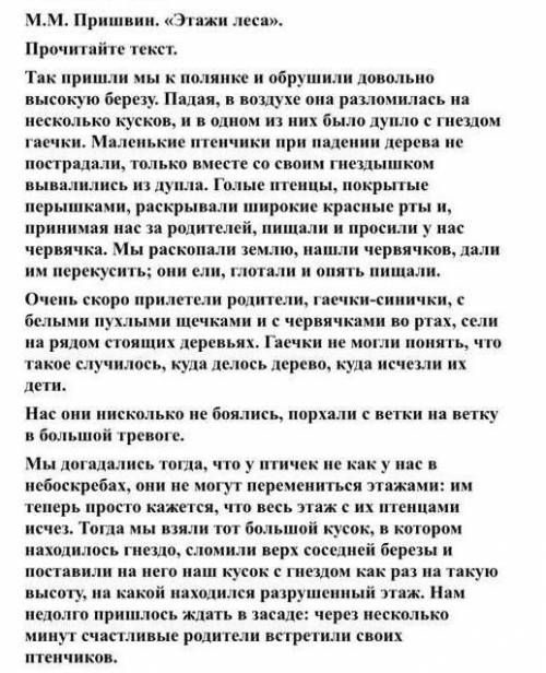 напишите изложение к этому тексту