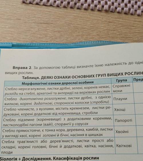 За до таблиці визначте їхню належність до однієї з груп вищих рослин